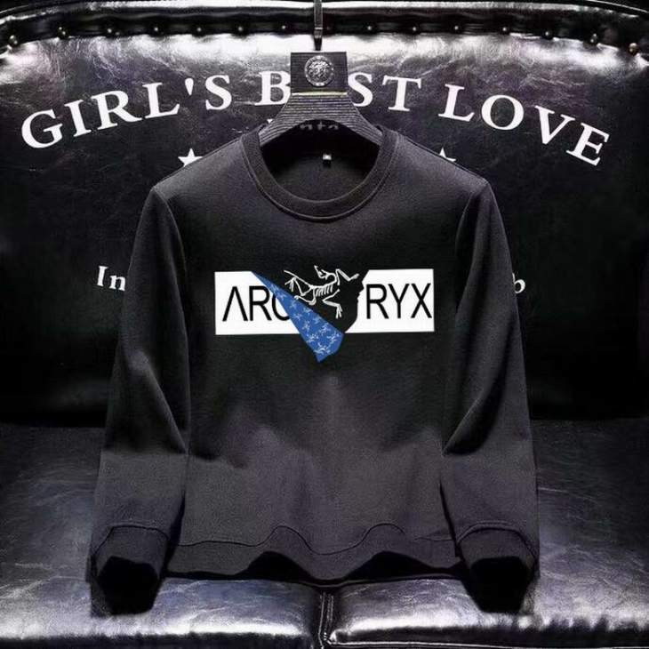 Picture of Arcteryx Sweatshirt _SKUArcteryxM-5XL11Ln0129515